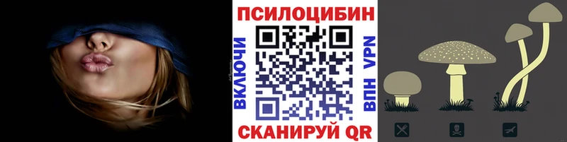 Галлюциногенные грибы Magic Shrooms  купить  цена  Гусь-Хрустальный 
