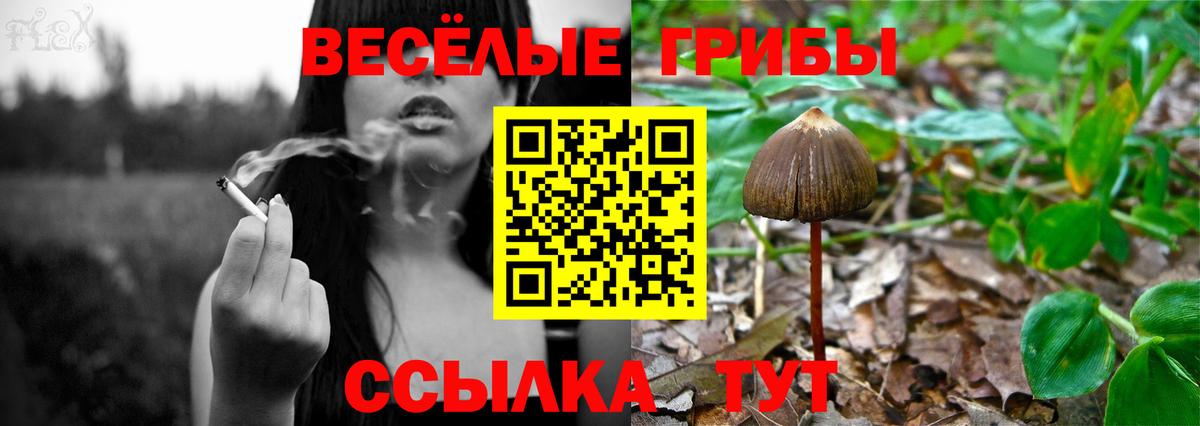 Псилоцибиновые грибы MAGIC MUSHROOMS Гусь-Хрустальный