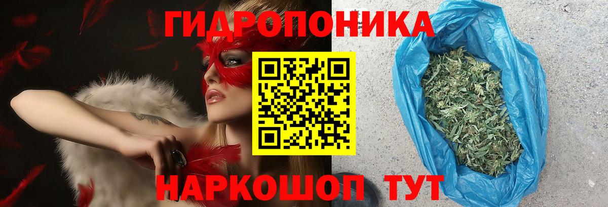 Гусь-Хрустальный  Канабис тримм  Бошки Шишки гибрид  Марихуана марихуана  Вход с VPN  Канабис планчик 